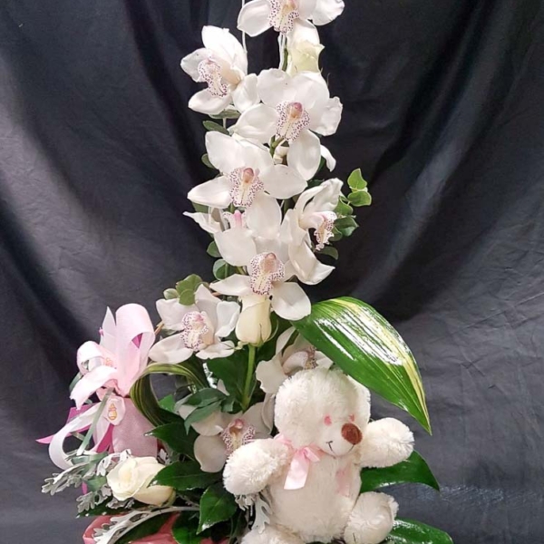 Cesta 3 cymbidium