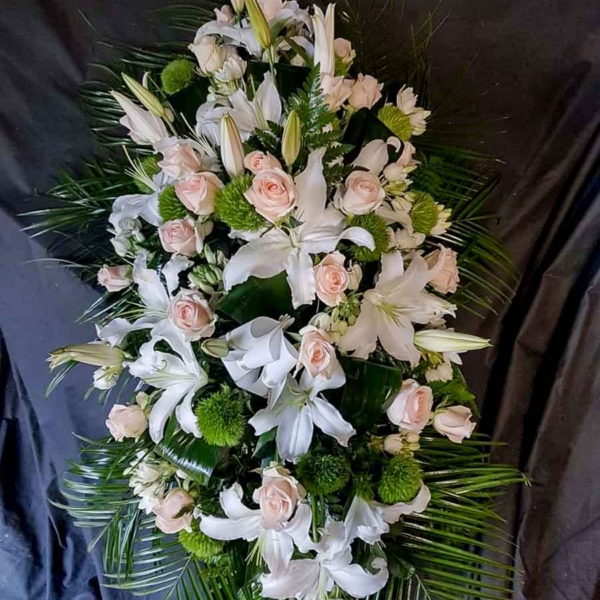 Palma grande variada 2